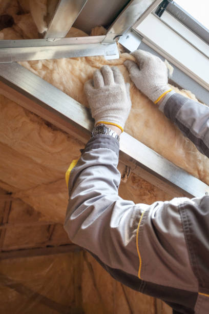 Best Commercial Insulation in Queen Anne, MD