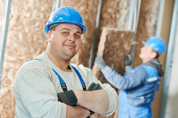 Best Residential Insulation in Queen Anne, MD